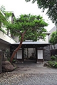 ホーマットライラック